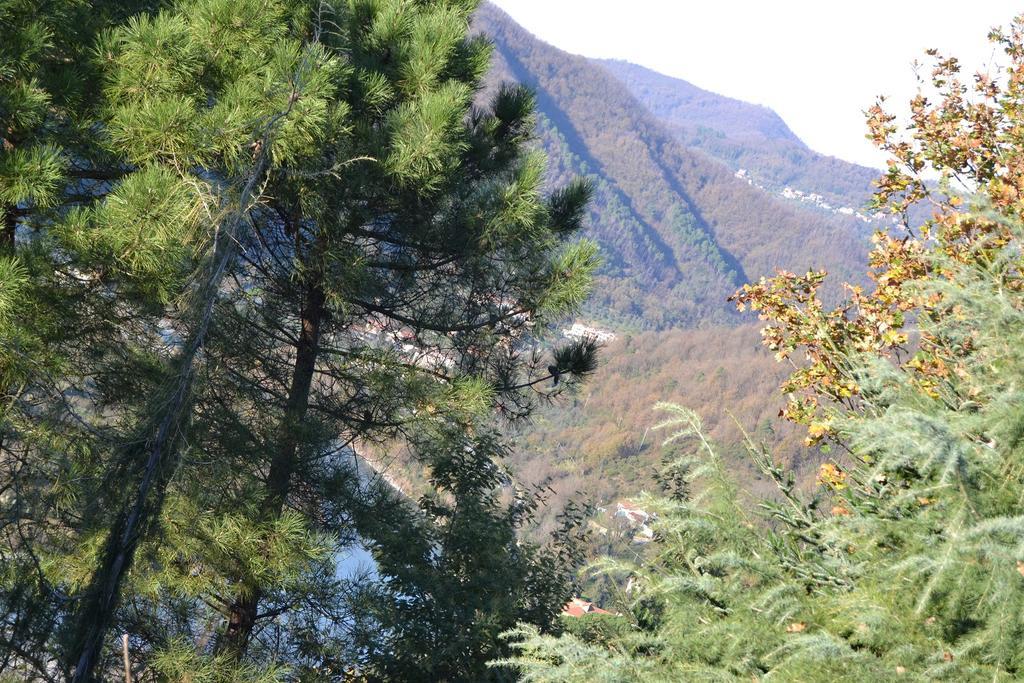 Toscana Nord Ovest - Tra La Costa Apartments Albiano Magra Exteriér fotografie