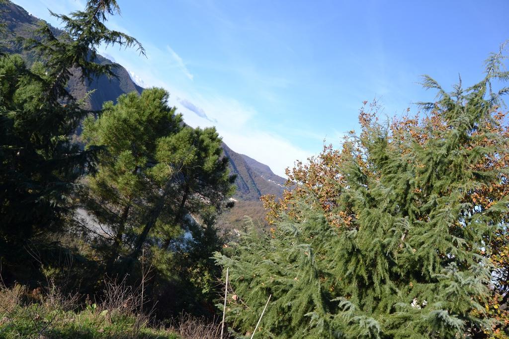 Toscana Nord Ovest - Tra La Costa Apartments Albiano Magra Exteriér fotografie