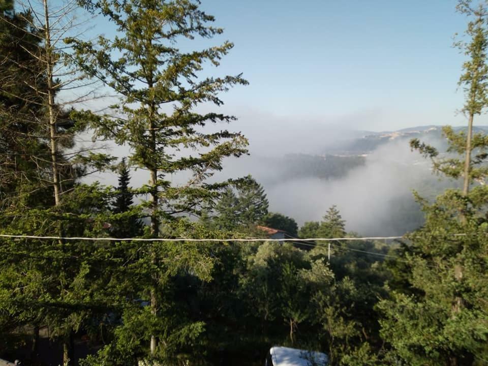 Toscana Nord Ovest - Tra La Costa Apartments Albiano Magra Exteriér fotografie